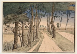 Alan manzarası. Ön planda ağaçları olan bir yol